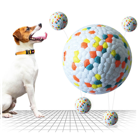 Interactive Training Pet Play Ball 