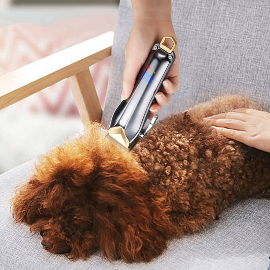 Pet Grooming Brushes for Dogs