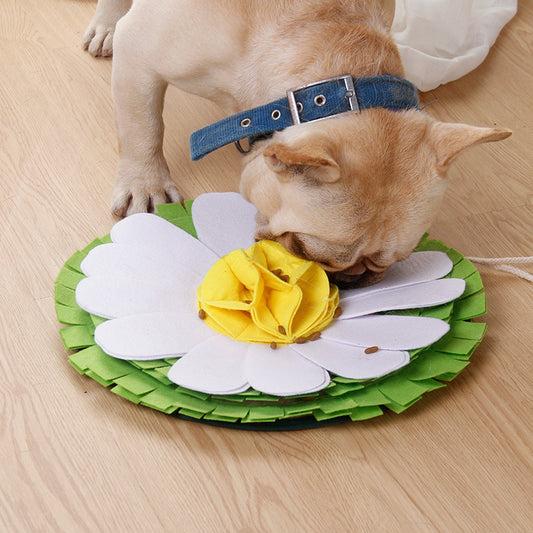 Water Feeder for Pets