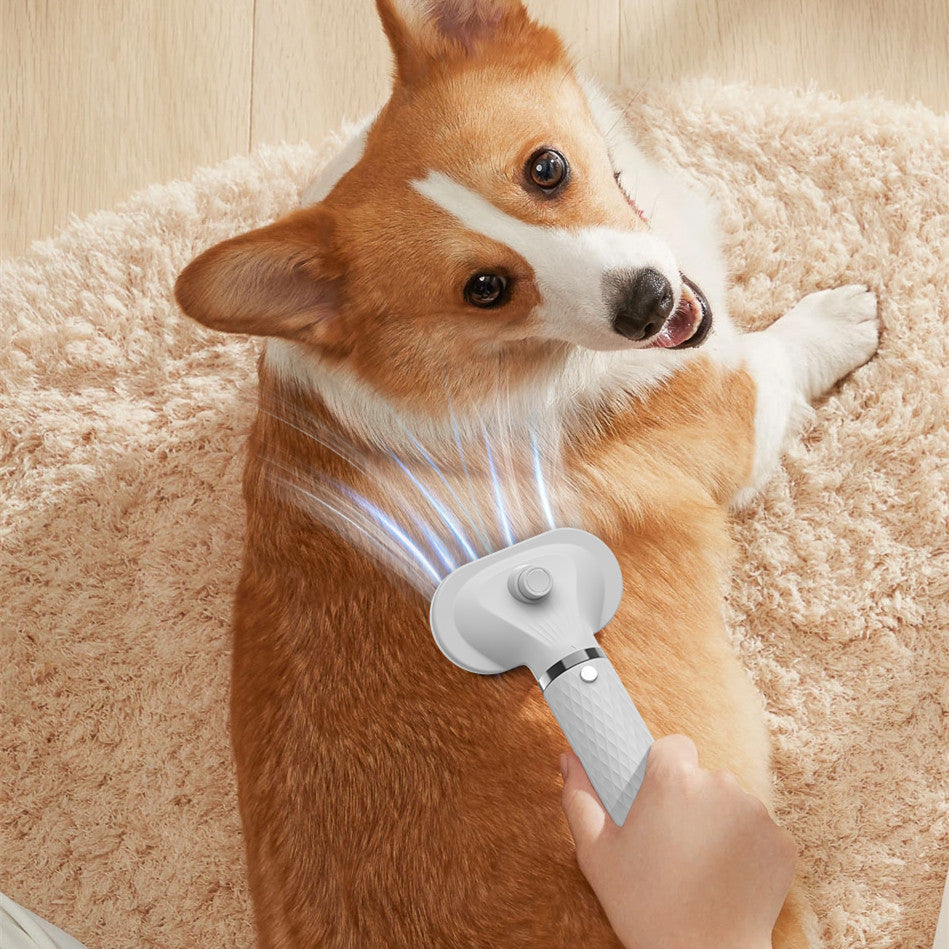 New Portable Pet Hair Dryer