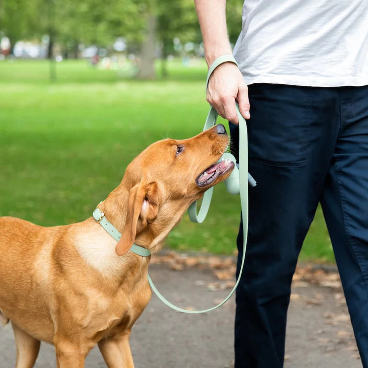 Dog Training Treat Pouch